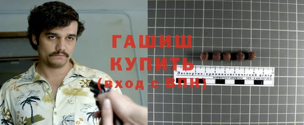 сатива Аркадак