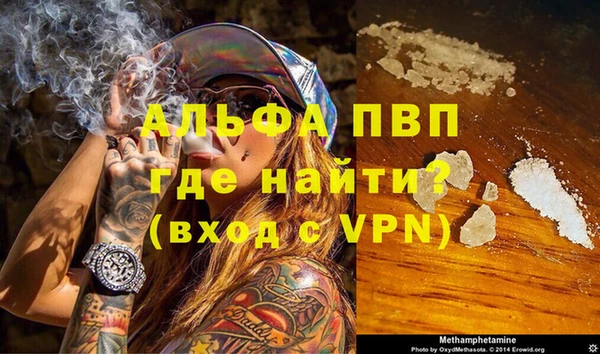 сатива Аркадак