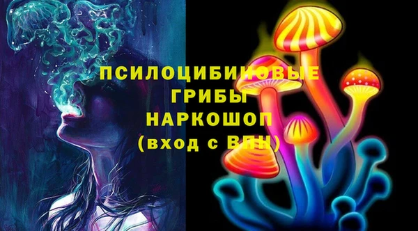 сатива Аркадак