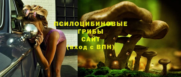 сатива Аркадак