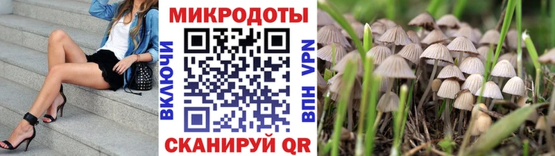 как найти наркотики  Билибино  KRAKEN сайт  Псилоцибиновые грибы Magic Shrooms 